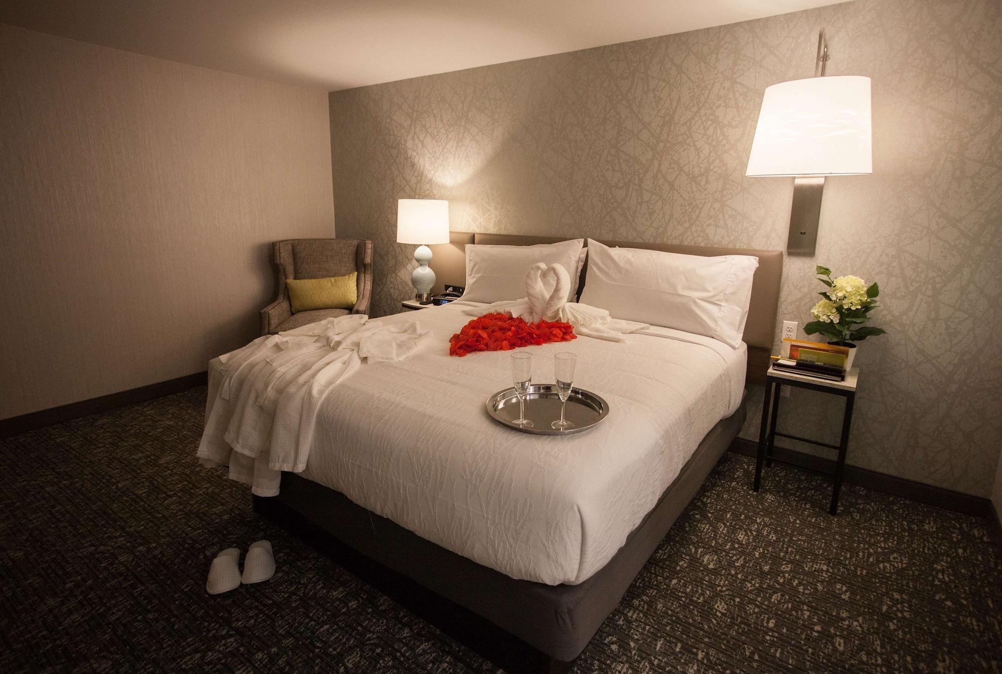 Hilton Garden Inn Springfield Esterno foto